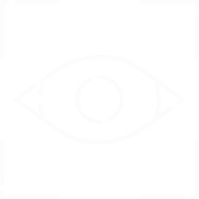 Argo AI VMS 優勢 AI辨識精準度97% 精準辨識物體（人形/車輛/車牌/煙霧/火焰）並執行影像分析。